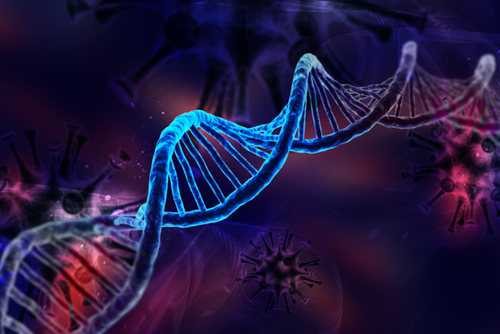 DNA Strand